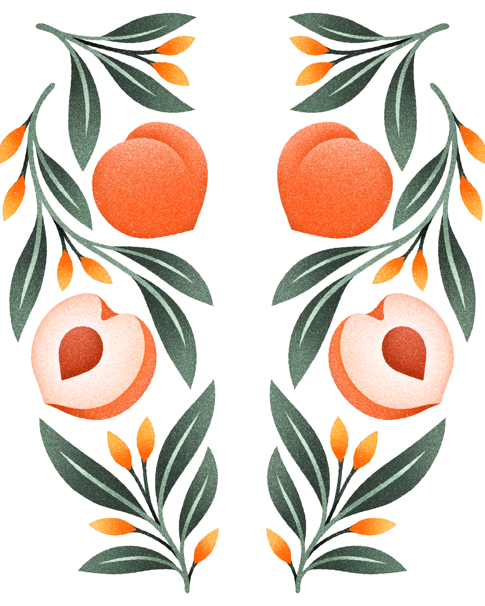 Botany Energy Sampler Packs